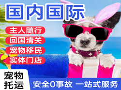 荷花机场快运国际宠物托运 【国